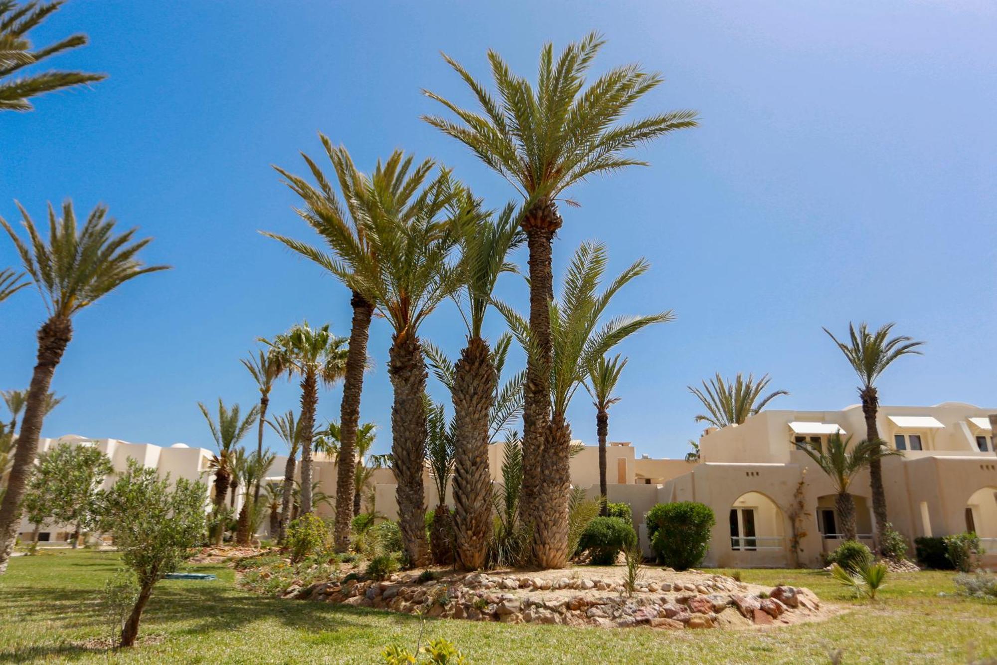 Telemaque Beach & Spa Mezraia Bagian luar foto